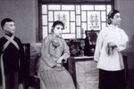 小女婿下载