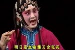 双错遗恨