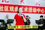 白蛇传 河北梆子选段