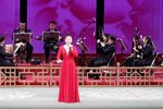 名家名段演唱会 2023年1月25日