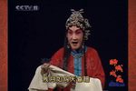 双错遗恨 1999