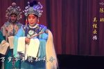 狸猫换太子
