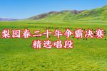 梨园春二十年争霸决赛精选唱段 二十年