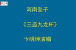 三盗九龙杯
