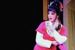 红娘 新版