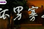 孤男寡女下载