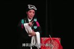 张廷秀私访 展演版