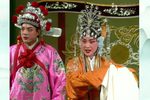 打金枝