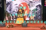 七郎八虎下南唐 下集