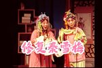 秦雪梅下载