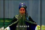 收姜维 音配像工程
