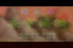 杨家将 09-10集下载