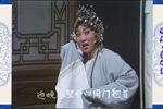 窦娥冤下载