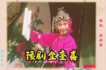 金銮禧下载