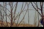 包青天-秦香莲