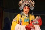 二进宫 选场1下载