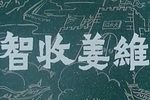 智收姜维 1981