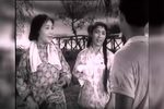箭杆河边 1964年下载
