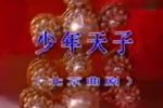 少年天子下载