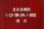 沙家浜 长影 1971年下载