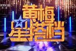 过把瘾