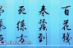 五女拜寿 CCTV空中剧院