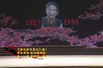汧国夫人 全场戏下载