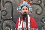 琴书·罗元救父 3部 大破安南6