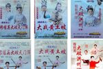 杨家将之金沙滩赴会 02集