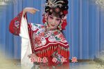 红娘 2020新版像音像下载