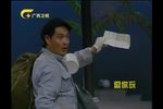 老蔫完婚 相亲续集下载