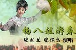 杨八姐游春 1982下载