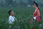 西厢写书下载