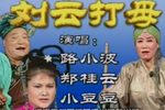 刘云打母下载