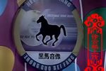 傻子戏寡妇下载