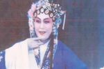 回杯记下载