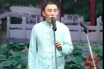 抱板老西厢苑 梁子戏老本西厢观画下载