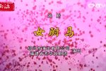 女驸马 明星版